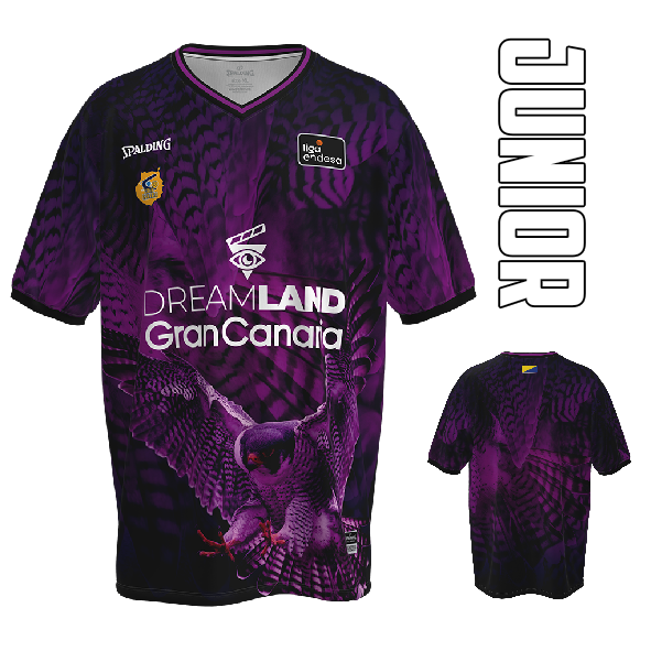 CAMISETA DE CALENTAMIENTO VIOLETA JUNIOR ACB 23/24