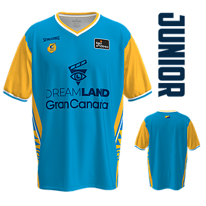 CAMISETA FAN 2ª EQUIPACIÓN JUNIOR 25/26